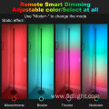 nordic Atmosphere rgb Floor Lamp